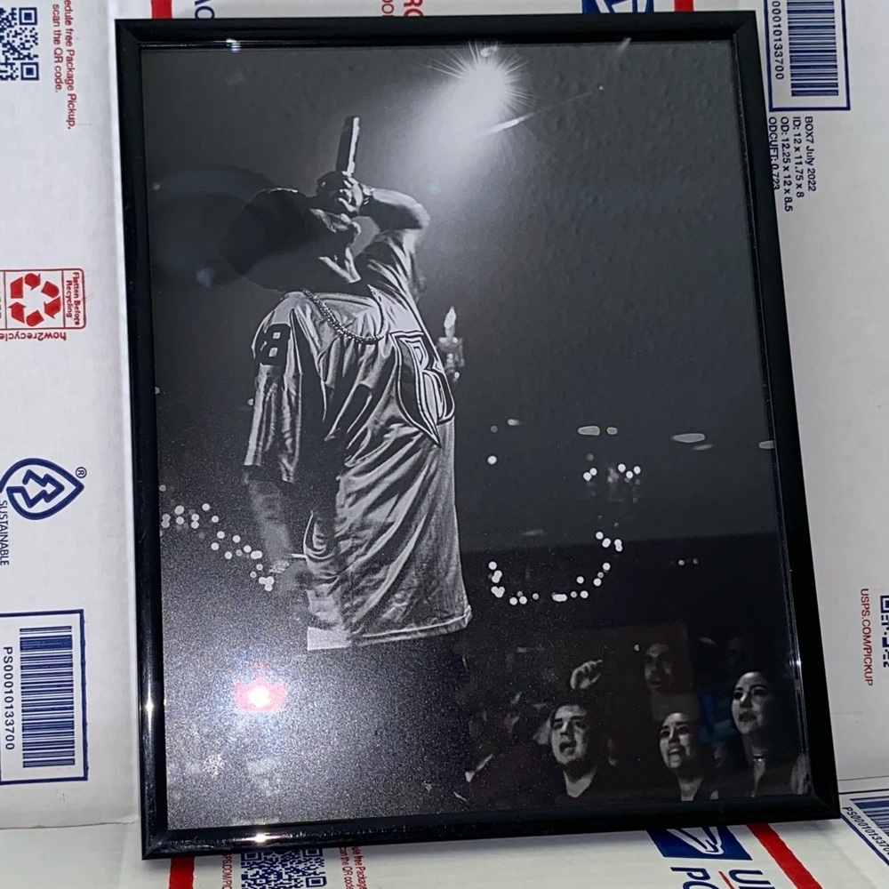 Framed Black and White Music Performance concert Photo framed DMX Ruff Ryders ?